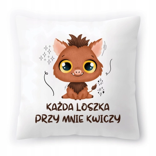 Poduszka Śmieszna zabawna na Urodziny Prezent z Nadrukiem ze Zdjęciem