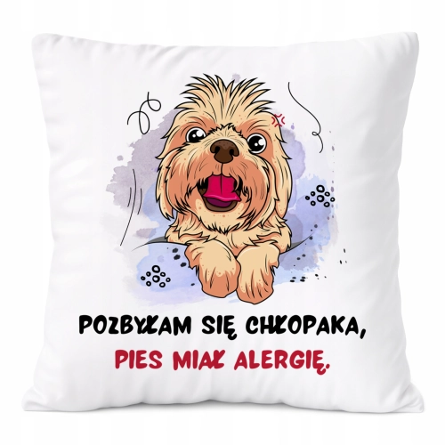 f21bdcb34e45876cbd4d932e7a6edd80.jpg
